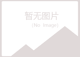 琼山区平庸化学有限公司